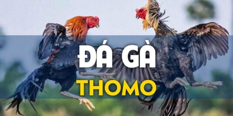 da-ga-thomo-thumbnail